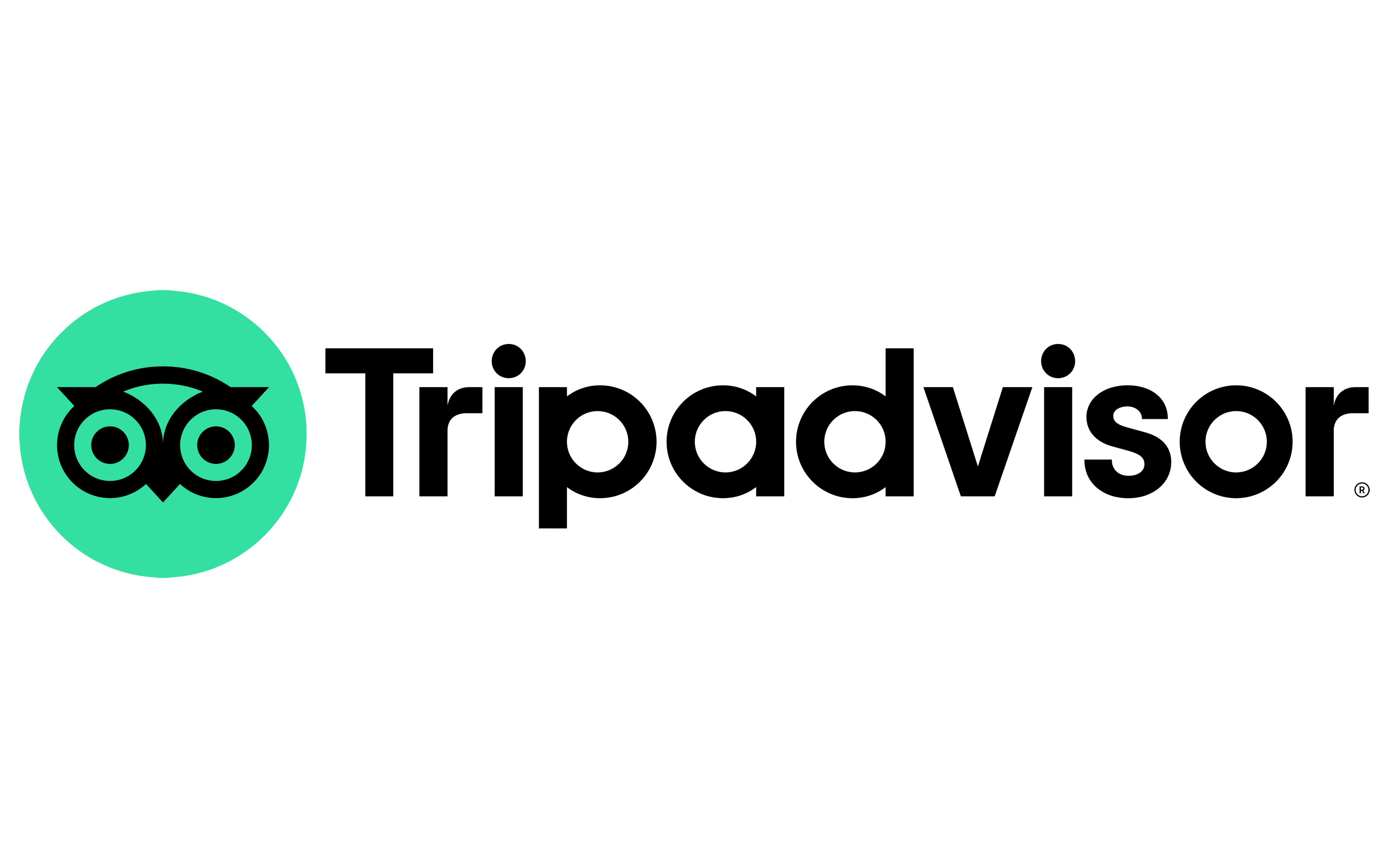 Trip Advisor Logo 