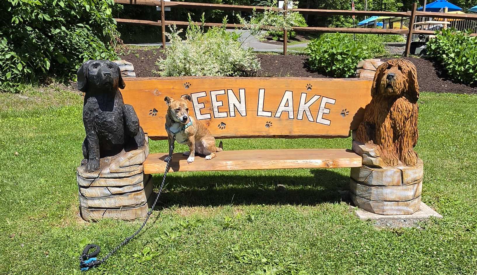 Pennsylvania Keen Lake Dog Park Picture Dekolta